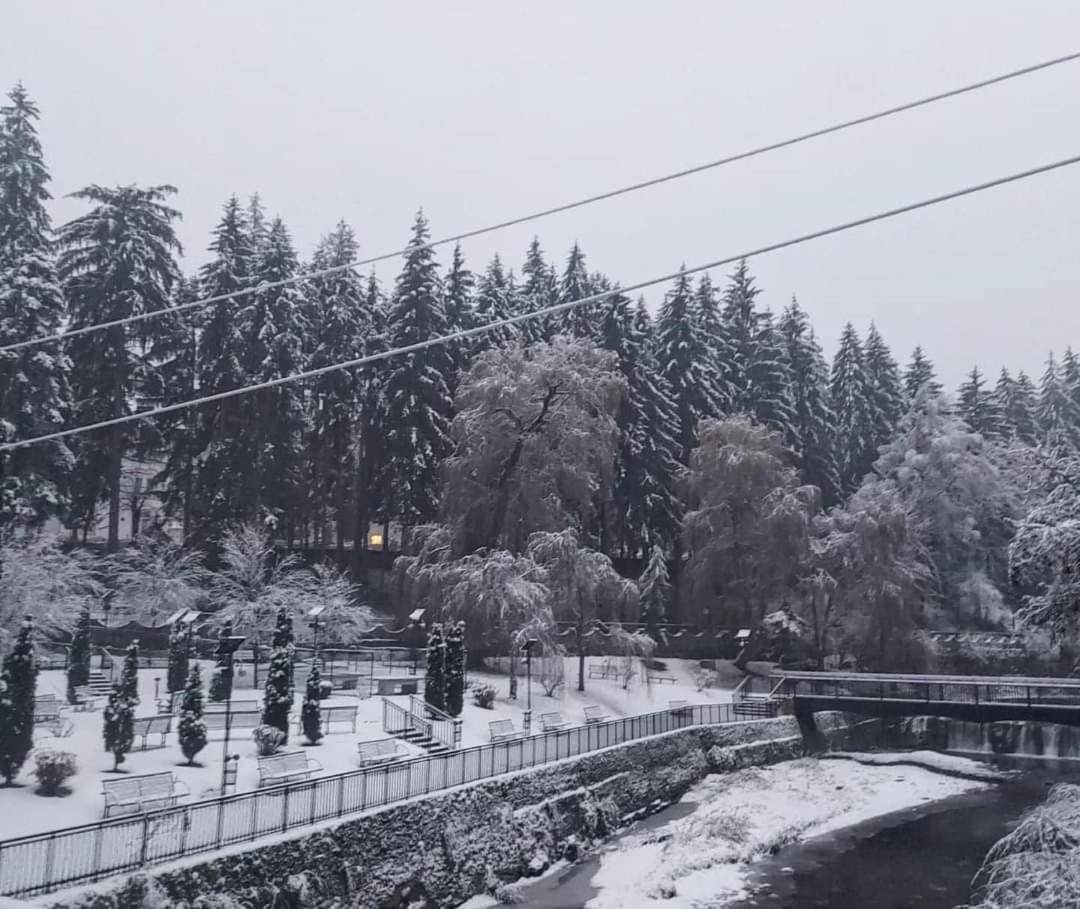 Băile Olăneşti Vila Nicoleta מראה חיצוני תמונה