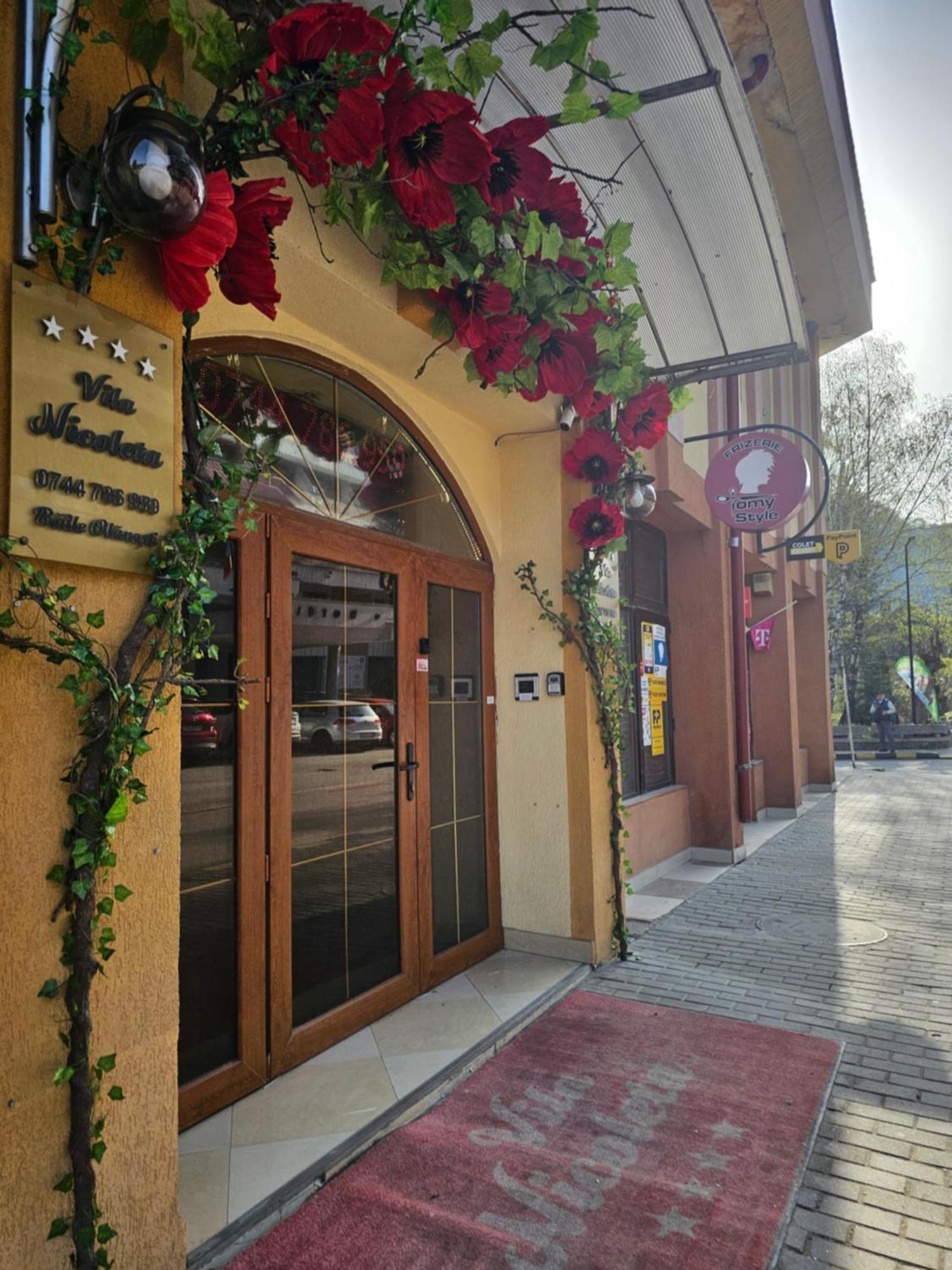 Băile Olăneşti Vila Nicoleta מראה חיצוני תמונה