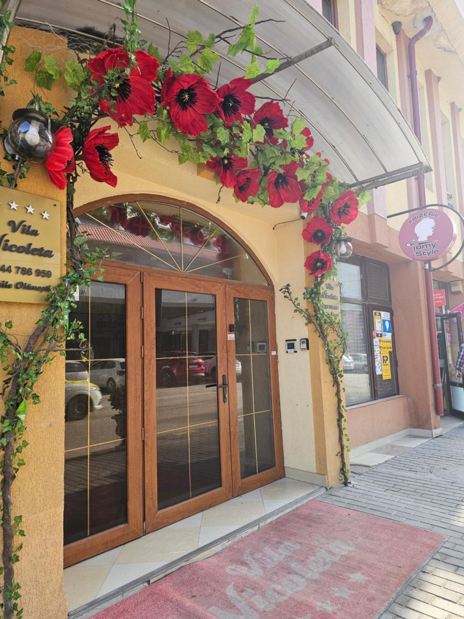 Băile Olăneşti Vila Nicoleta מראה חיצוני תמונה