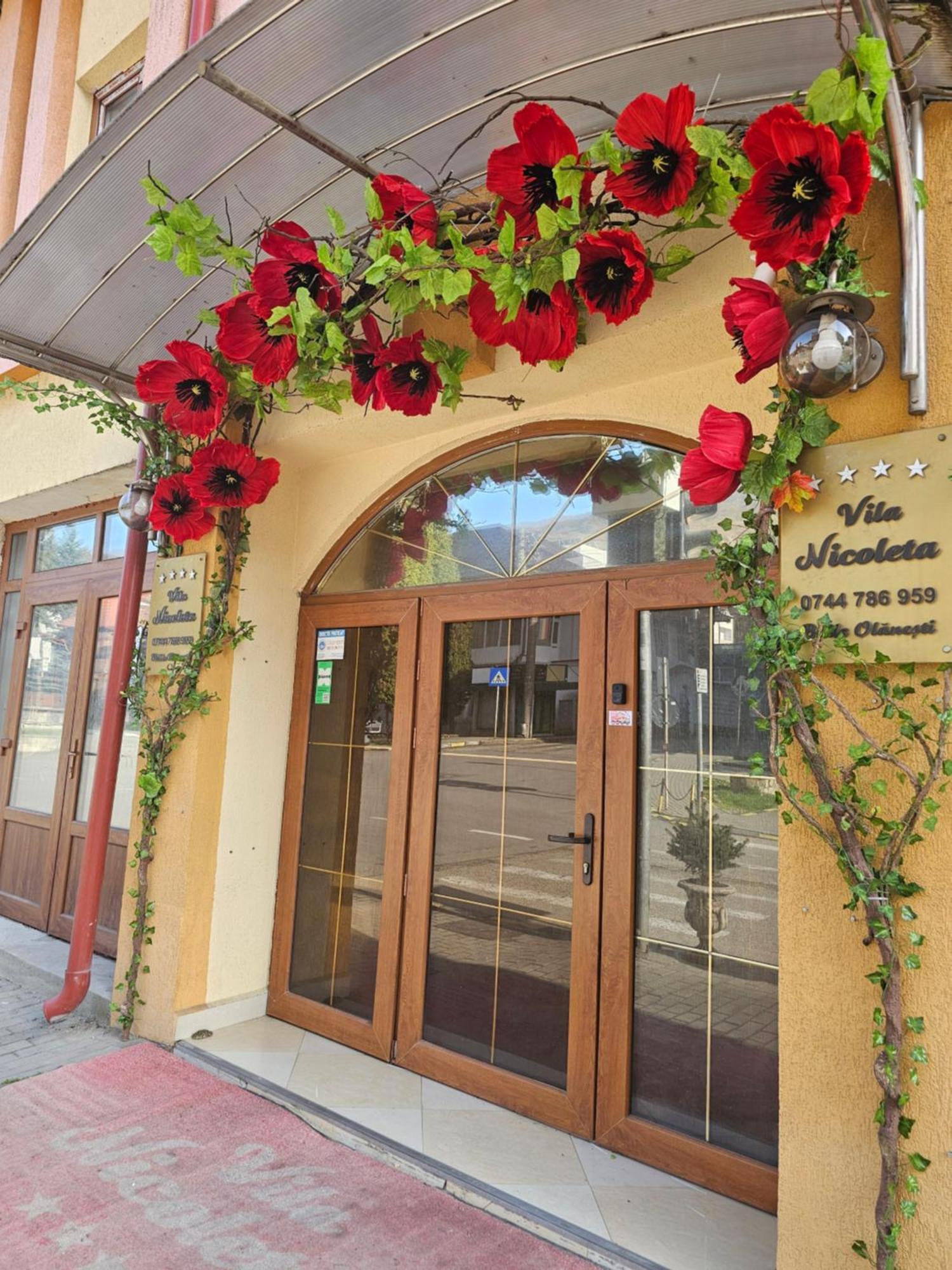 Băile Olăneşti Vila Nicoleta מראה חיצוני תמונה